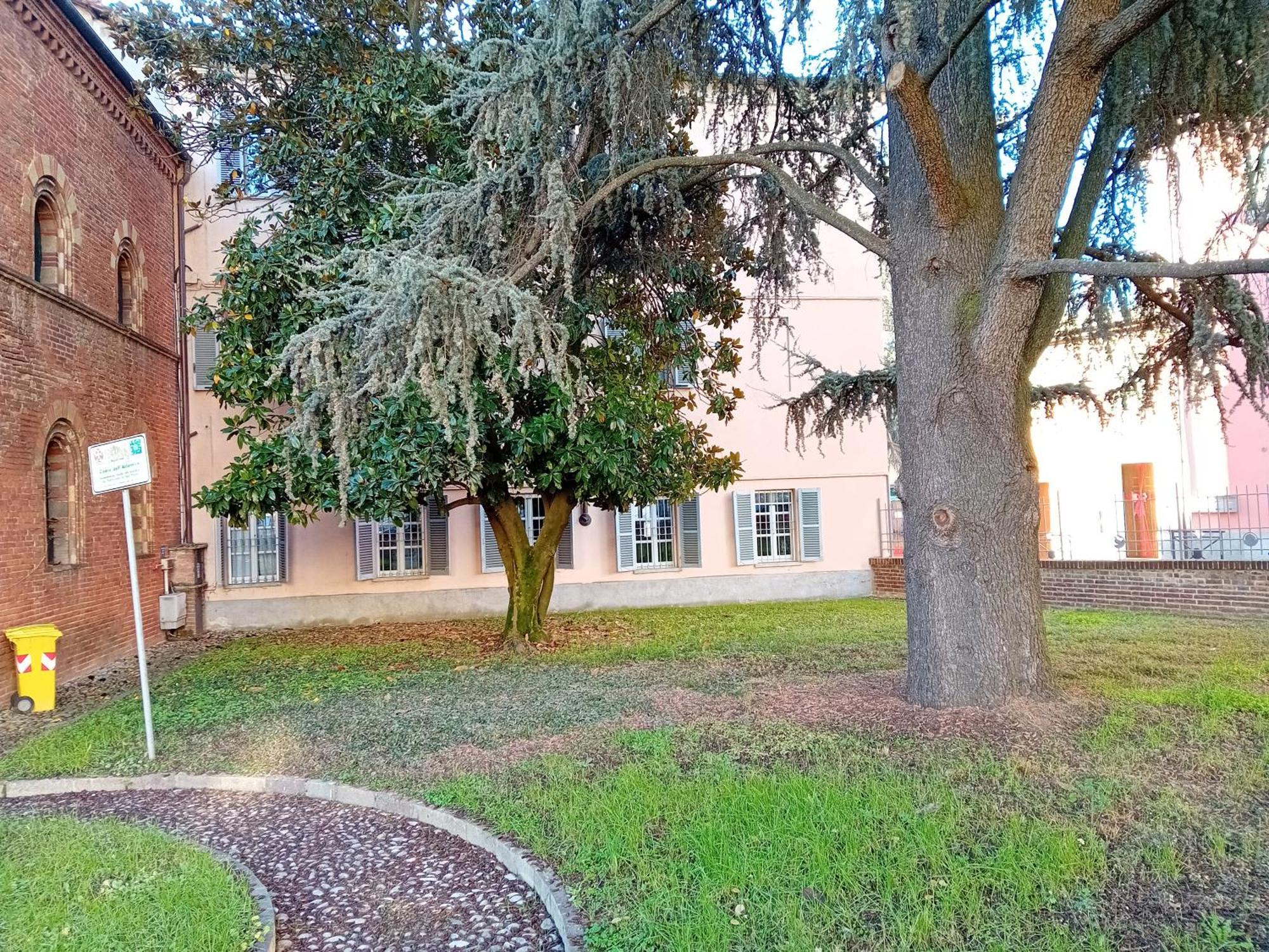 Petite Maison Asti Exteriör bild